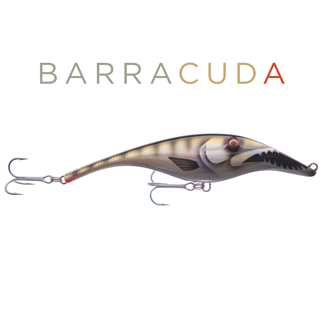 Zalt 17 cm - Barracuda