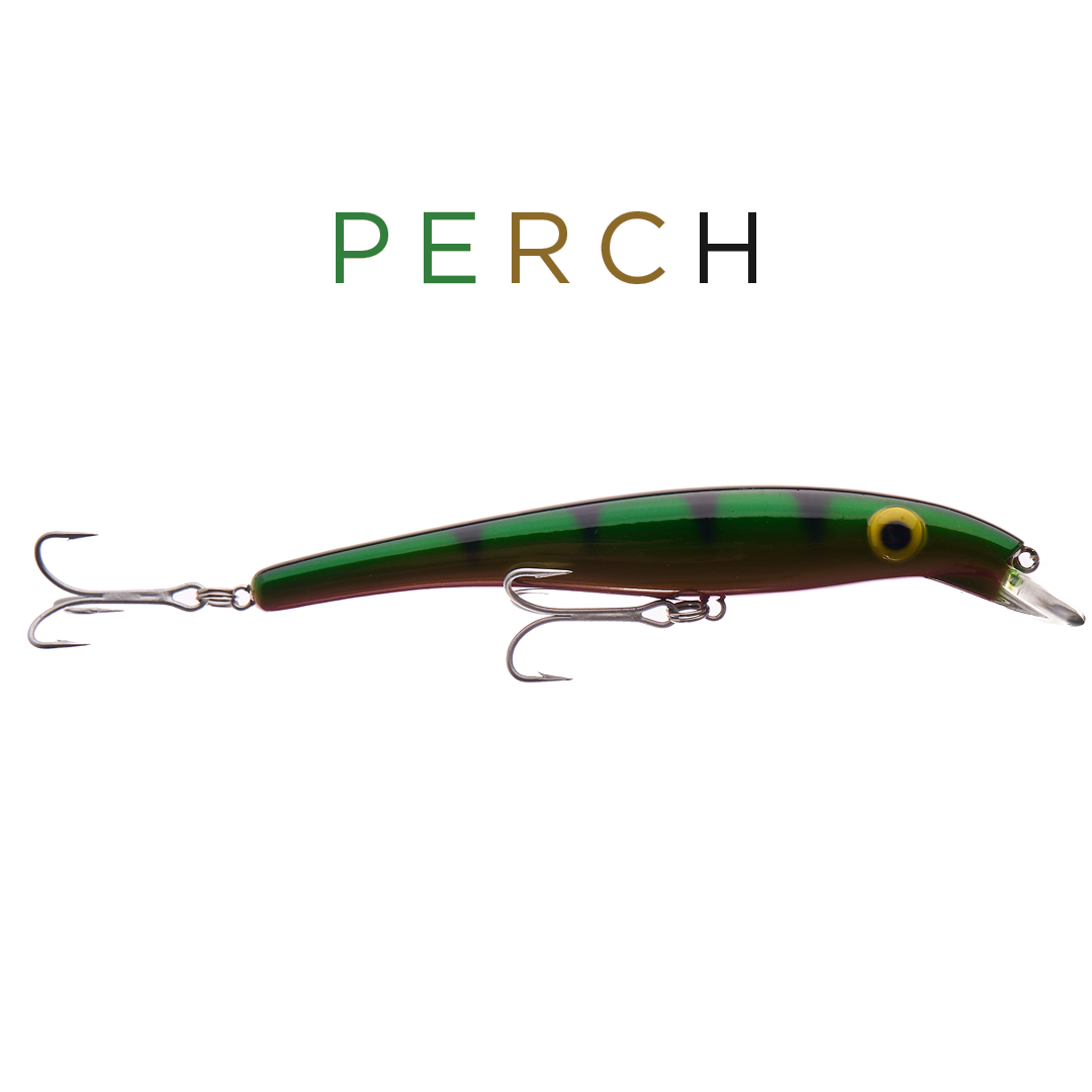 ZAM 16 cm - Perch