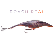 Zalt 17 cm - Roach (real)