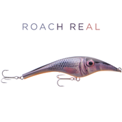 Zalt 20 cm - Roach (real)