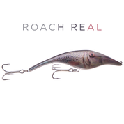 Zalt 14 cm - Roach (real)