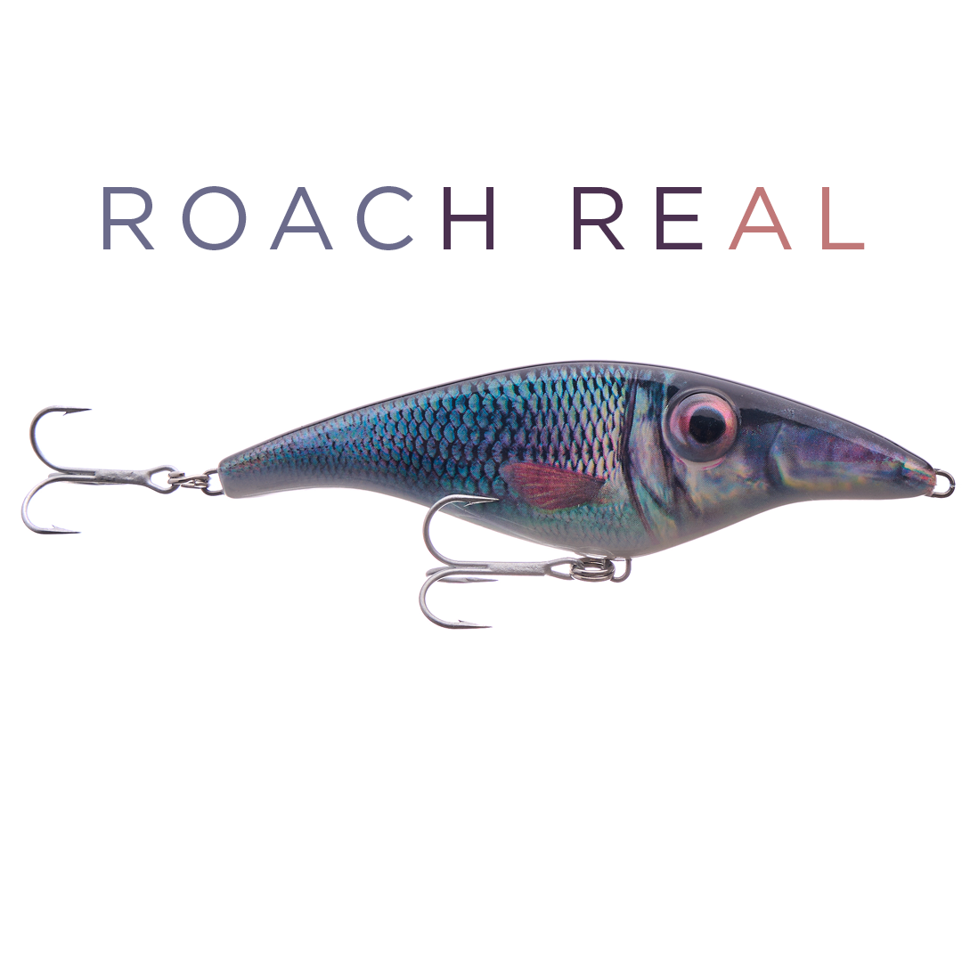 Zalt Z 14 cm - Roach (real)