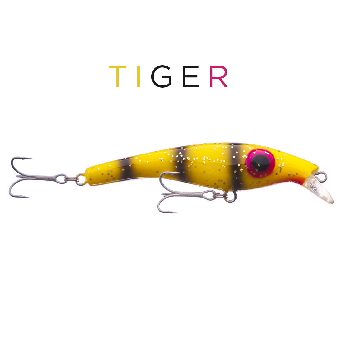 ZAM 8 cm - Tiger