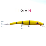 ZAM 16 cm - Tiger