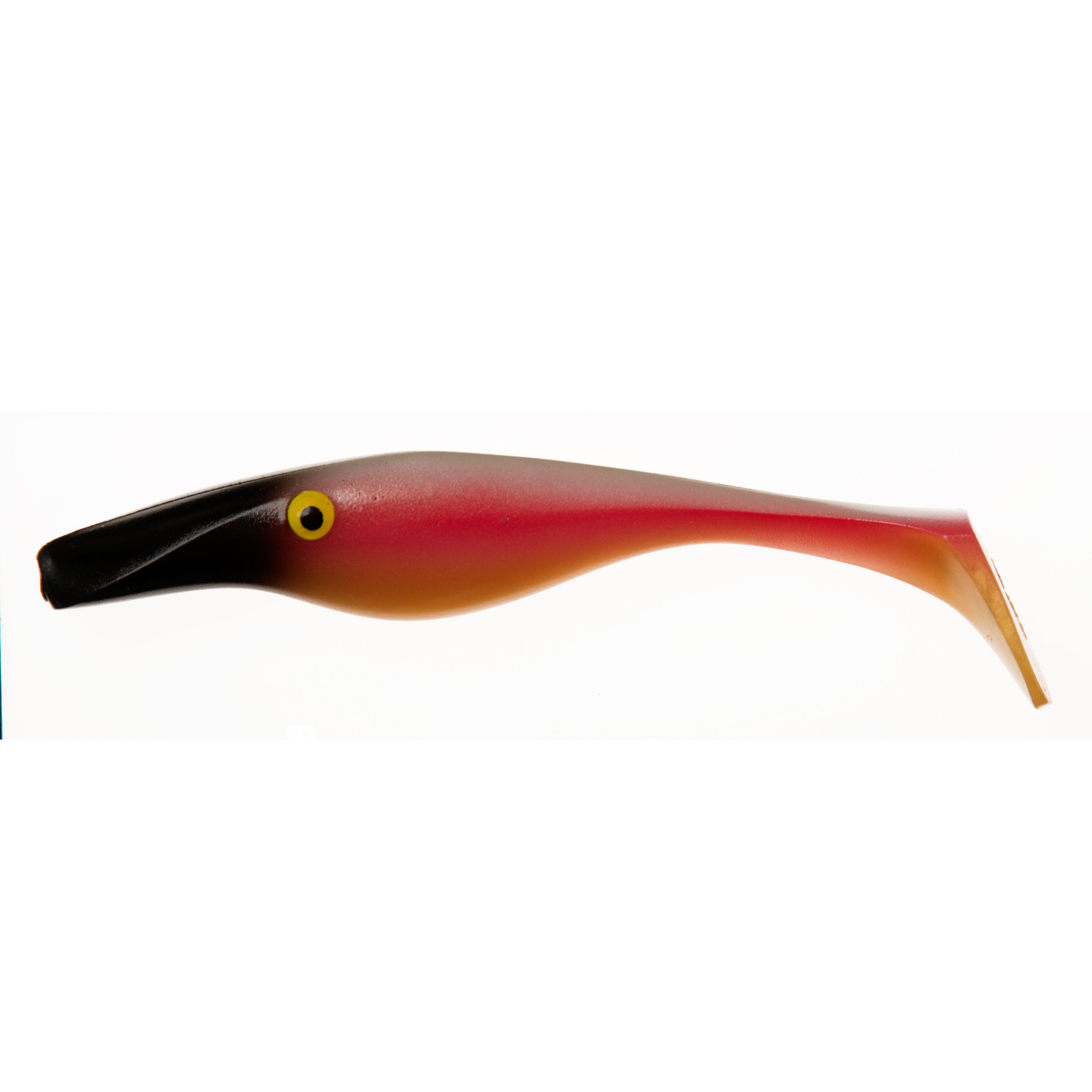 ZaltZhad1402_20Parrot.jpg